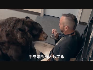 Jackass 4Ever ( 2022 )　予告編