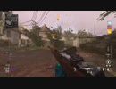 【CODV】野良でランクプレイ【44】