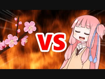 茜ちゃんVS桜