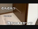 猫が落ち着かない理由はこちら。
