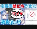 食べすぎ厳禁！！夜食がバレて冷蔵庫出禁になったVTuber【VTuber切り抜き/ソフィ・ローズ】