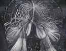 は?/flower/я