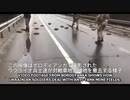 地雷を撤去しているウクライナ兵士