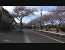 無言バイク車載／横須賀・三浦周辺／風切り音大ミュート推奨／低画質／PCX125