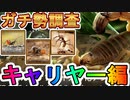 ガチ勢が使っているキャリヤー編成を調べたらやっぱりすごかった【ザアンツ　#27】