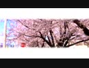 春眠、暁を覚まして／tokagie