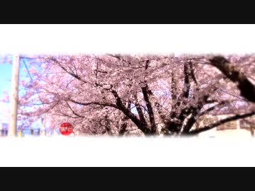 春眠、暁を覚まして／tokagie