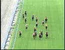 第５回　【競馬】2008 07.19 メイクデビュー（笑）新馬戦３場分全レース①
