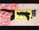 #13 ティッシュの空き箱に入ったまま寝ちゃうクロ氏 Kitty fall asleep in tissue box