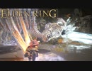 信仰技量の王となる。part _ 019【ELDENRING _ エルデンリング】