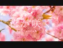 ✿心がほっと温まる感動的な和風曲「花が咲く」【ロイヤリティフリーBGM】