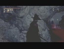 【Bloodborne実況】中年BBAのBloodborne久々プレイ　第二十六回目