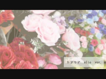 カメリア/天野月子　歌ってみた【エリィ】