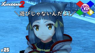 事故った借りを返しにいくよ【ゼノブレイド2】#25