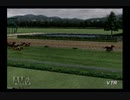【実況】ジーワンジョッキーWii2008 #142