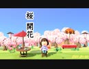 【まったり実況】あつまれどうぶつの森【関西のおばちゃん】#243