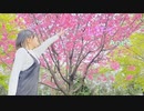 【AneR】LIFE 踊ってみた【20歳】