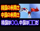 【韓国の反応】 韓国の未開さと 中国の未開さの違いについて 韓国は○○で、中国は□□だ！