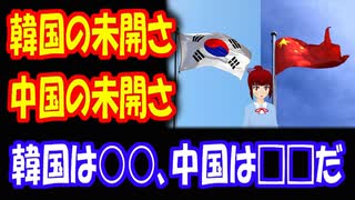 【韓国の反応】 韓国の未開さと 中国の未開さの違いについて 韓国は○○で、中国は□□だ！