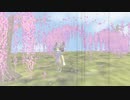 【VOCALOID】さくらTears【ｵﾘｼﾞﾅﾙ曲】