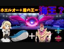 【ポケモン剣盾】ご注文はメガホエルオーですか？【物理カイオーガ】