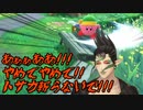 【星のカービィ ディスカバリー】カービィから攻撃を受ける花畑チャイカ【にじさんじ切り抜き】