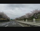 2022春【高速･車載動画】安曇野ＩＣ～岐阜墨俣一夜城へ（3/4 中津川～名神高速 小牧）