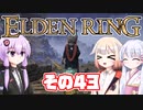 [ELDEN RING]OИEちゃんがのんびりエルデの王を目指す その43 [VOICEROID CeVIO COEIROINK実況]