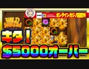 スロット 配信外でこっそり回してみた結果！！5000ドルオーバー【BONSカジノ】