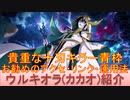 BLEACH ブレソル実況 part2447(キャラクター紹介:第362回ウルキオラ(カカオ)紹介)