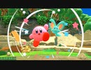 星のカービィ ディスカバリー  All Waddle Dees + Souls RTA 4:21:47