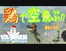 【鶏でも大空を飛びたい!！】新バグ技¨BLSS¨を使ってニワトリで飛べるか検証⁉【ゼルダの伝説ブレスオブザワイルド】【Bow lift smuggling slide