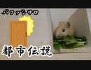【第十二回】モルモットと聞く怪異譚【バファシサロ】