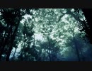 霧の森（Instrumental）