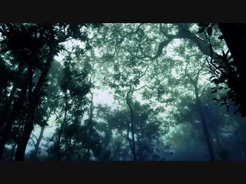 霧の森（Instrumental）