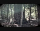 【オリジナル】40ヶ月目（2022年04月）【大きな絵と小さな音楽】