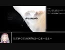 Drizzlepath 攻撃型RTA(レギュガン無視)19分43秒74