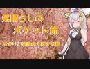 気晴らしのぽけっと旅　あかりと奈良の大好きな桜！！