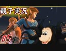 【 スマブラSP 親子で実況part5】修行(ハイラル的な)