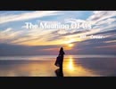 The Meaning Of Us【Cover】/  Vll