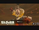 サクッとBotW【ゼルダの伝説BotW実況】#19