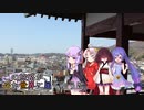 この旅路が、遥か世界に届くように。P25