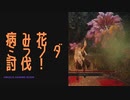 【ELDENRING】病み花ミランダ討伐戦！