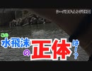 流れがあるってこういうことね【シーバスチャレンジEX01】
