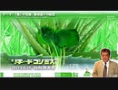 【2013年09月15日：リチャード・コシミズ 宮城仙台講演会（ 改良版 ）】