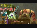 【ゆっくり実況】二度目ゼルダはじめてのスカウォ！！ part65 【ゼルダの伝説スカイウォードソード】