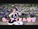 【 わたあめ 】私、アイドル宣言【 踊ってみた 】