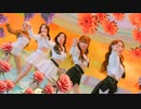 ILY_1 -  (Love in Bloom) MV