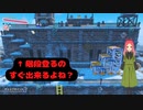 【星のカービィディスカバリー第七幕】え？普通に登れるのに何故ほおばり階段があるの？