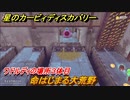 星のカービィ ディスカバリー　命はじまる大荒野攻略　ワドルディの場所３体目どこ？　＃１７０